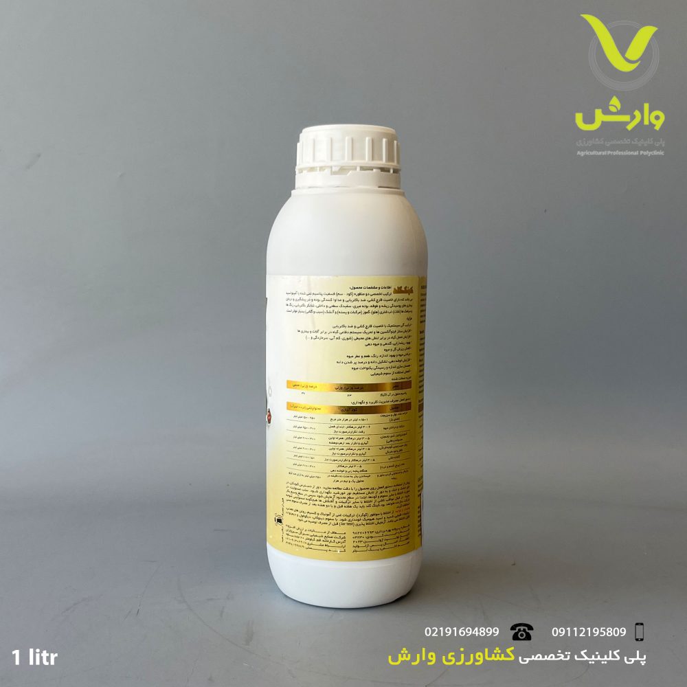 گلد پشت scaled