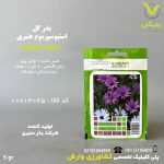 بذرگل استیوسپرموم عنبری بسته بندی خانگی