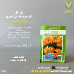 بذرگل شب بوزعفرانی عنبری بسته بندی خانگی