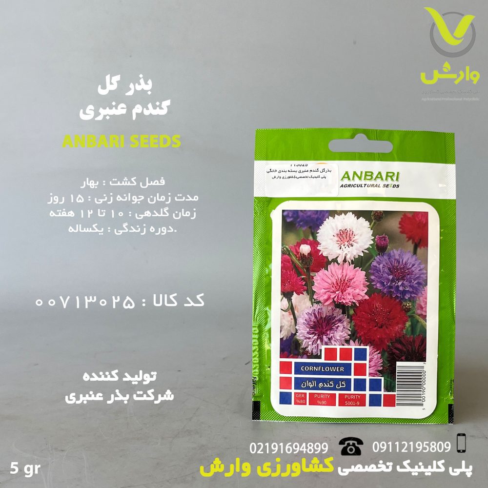 بذرگل گندم عنبری بسته بندی خانگی