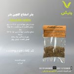 بذر اسفناج گلچین بذر رقم ایرانی