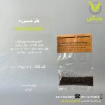 بذر مرزه رقم گلچین بذر ایرانی