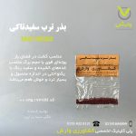 بذر ترب سفید تاکی رقم مینو ارلی