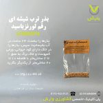 بذر ترب شیشه ای رقم لورنزیا سید