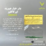 بذر خیار هیبرید اورکا کلوز رقم اورکا