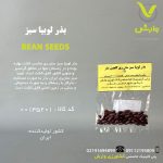 بذر لوبیا سبز سان ری گلچین بذر رقم ایرانی