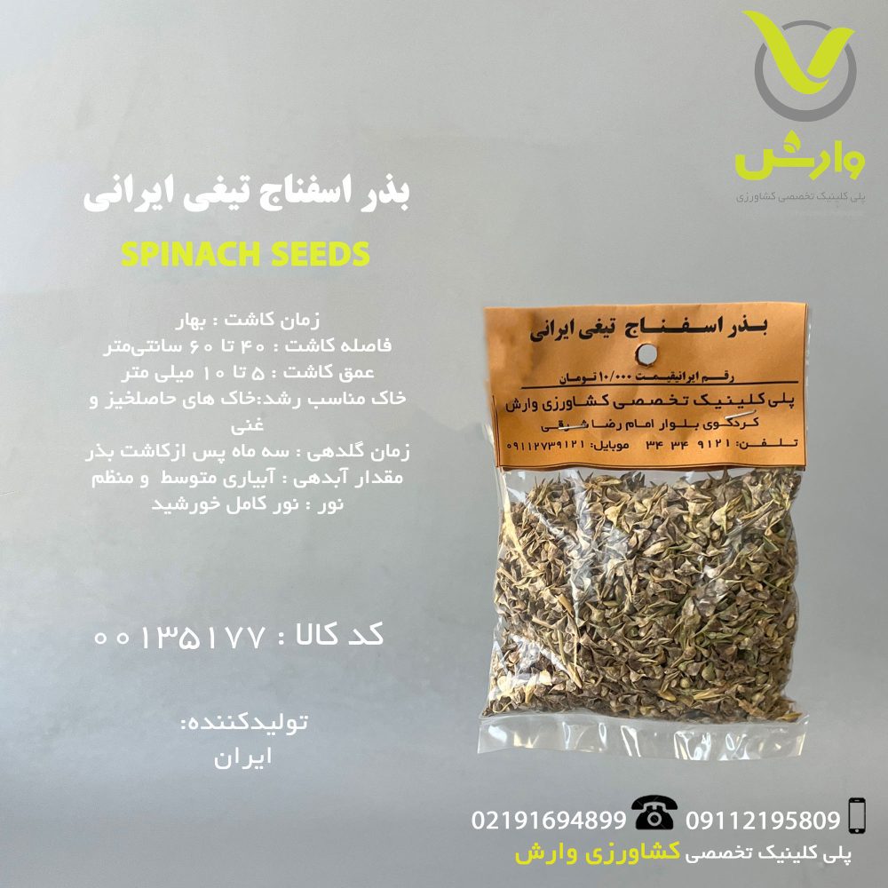 بذر اسفناج تیغی ایرانی رقم ایرانی
