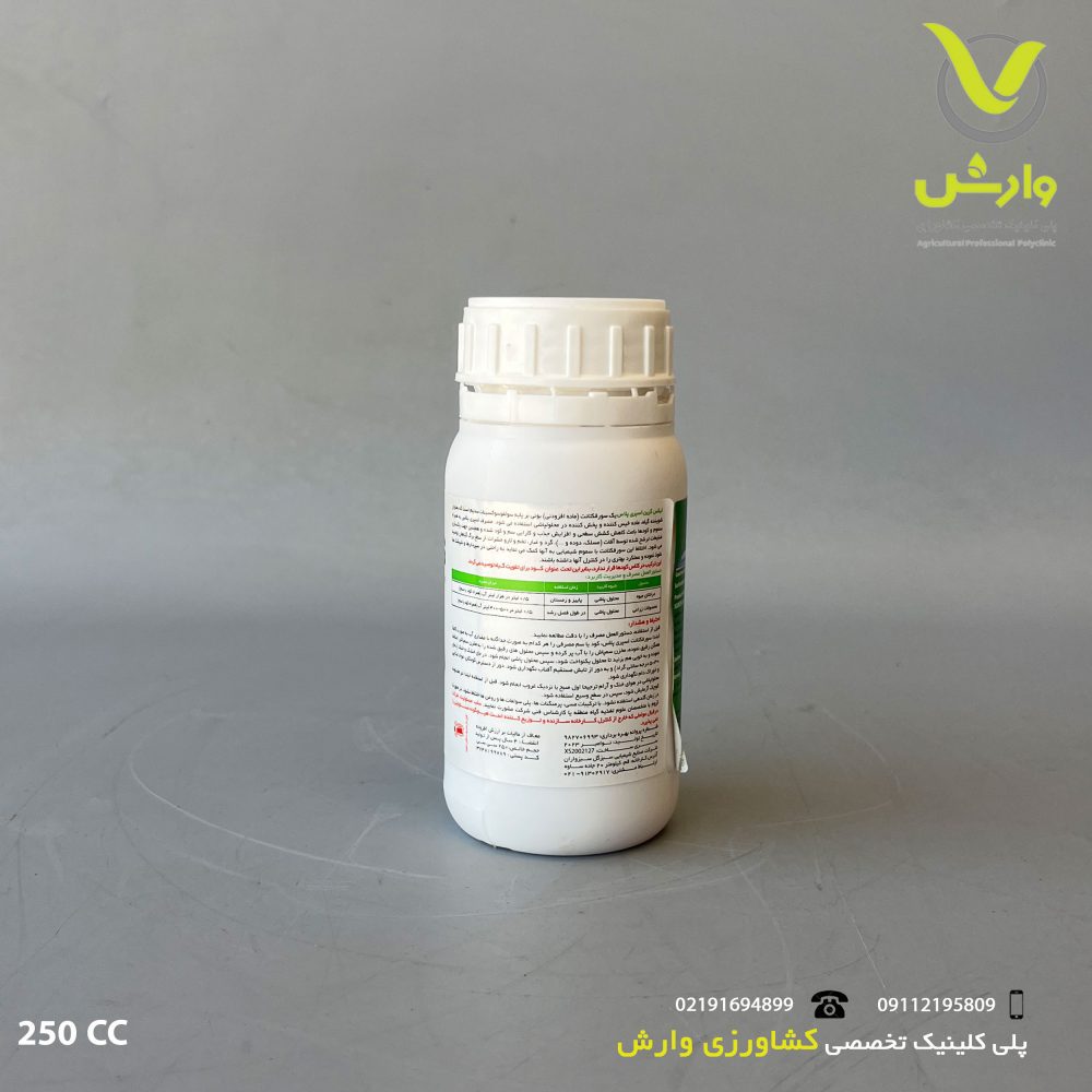 پلاس پشت