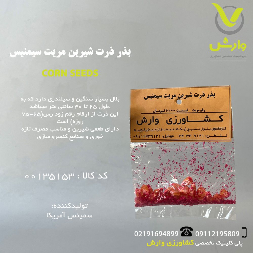 بذر ذرت شیرین مریت سیمنیس رقم مریت