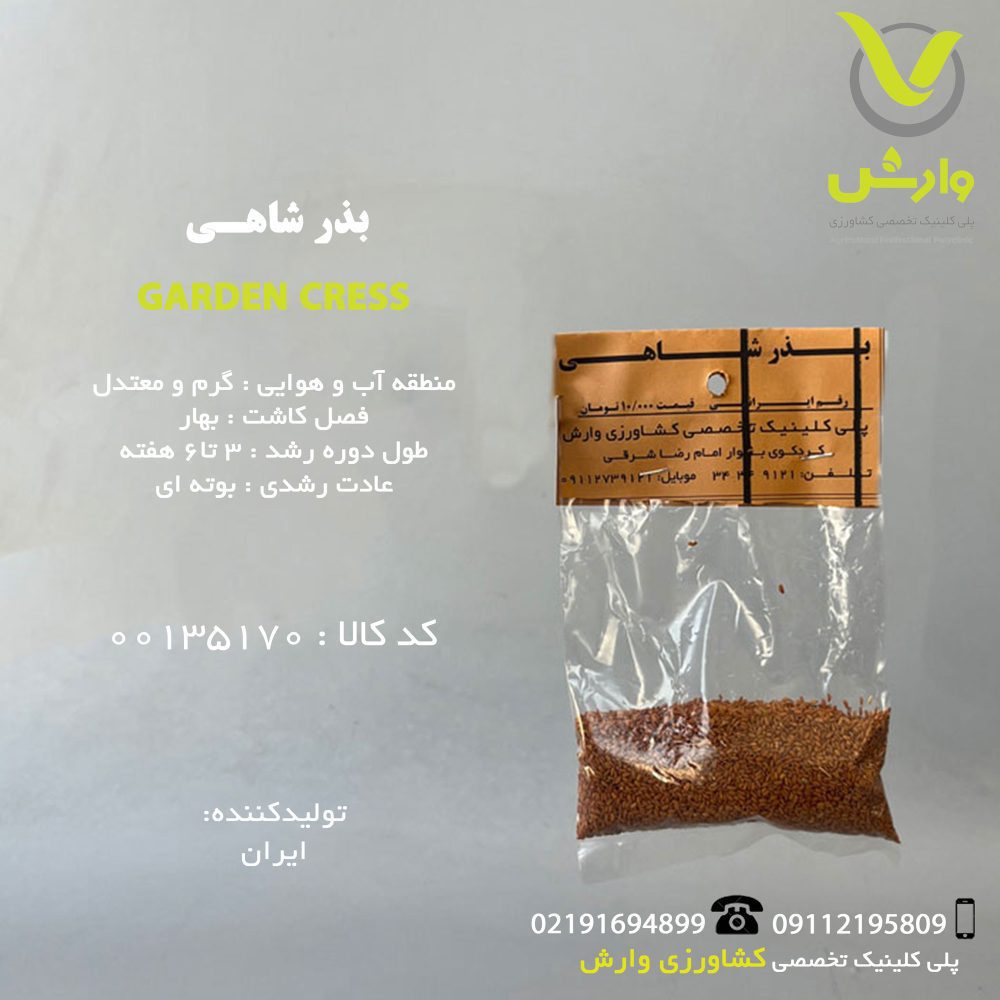 بذر شاهی رقم ایرانی