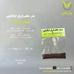 بذر شلغم پارپل ایتالیایی رقم پارپپل تاپ وایت گلوبل ایتالیایی