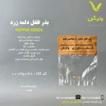 بذر فلفل دلمه زرد بنجامین هلند رقم بنجامین پاپ ورایند سیت هلند