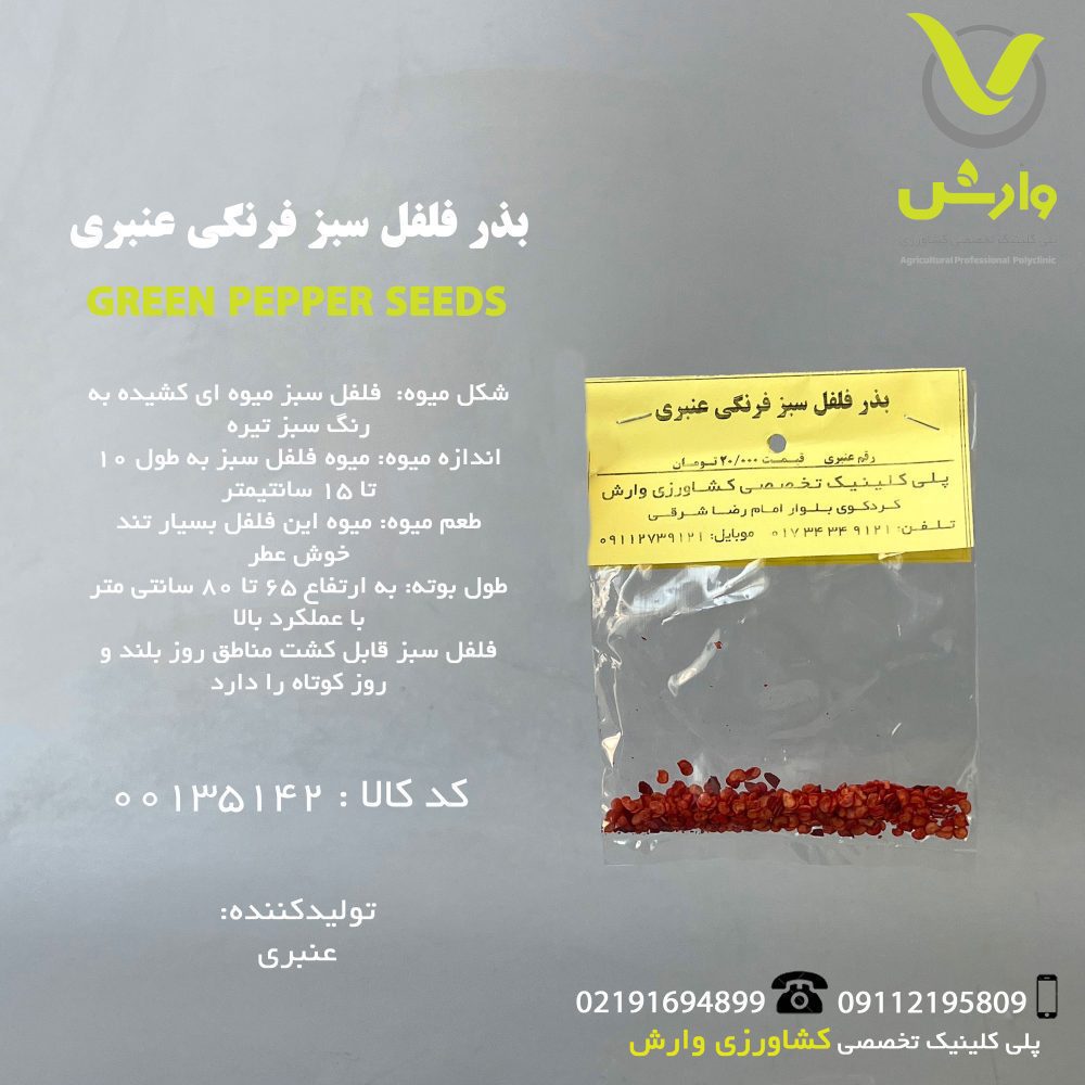 بذر فلفل سبز فرنگی عنبری رقم عنبری