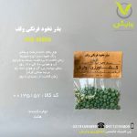 بذر نخود فرنگی ولف رقم ولف