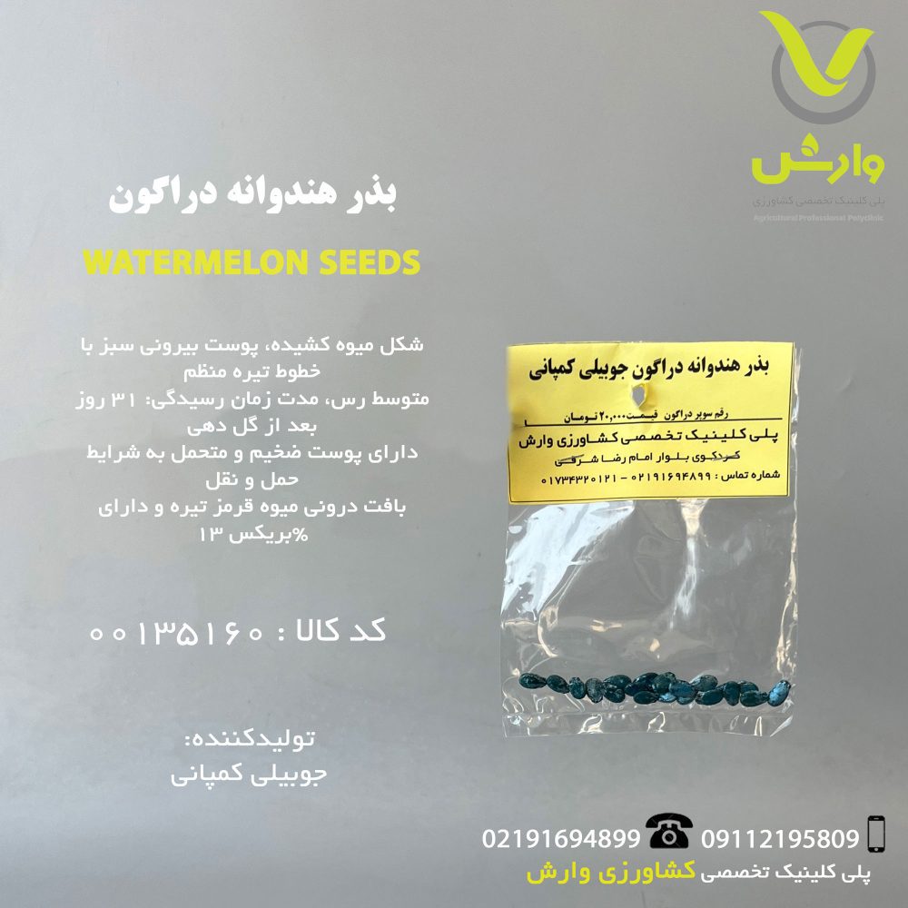 بذر هندوانه دراگون جوبیلی کمپانی رقم سوپر دراگون