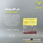 بذر کاهو پیچ بلند فردوس شرکت فلات رقم کاهو پیچ بلند خانگی