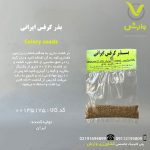 بذر کرفس ایرانی رقم ایرانی