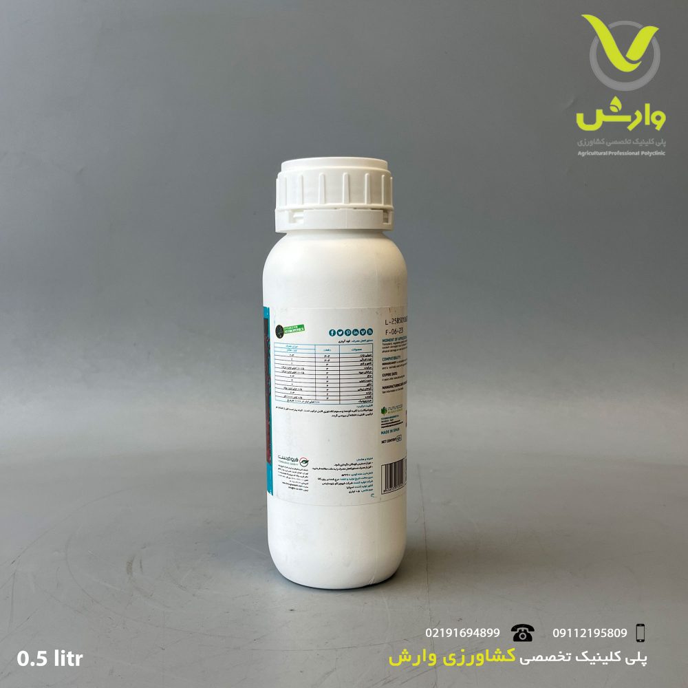 پشت