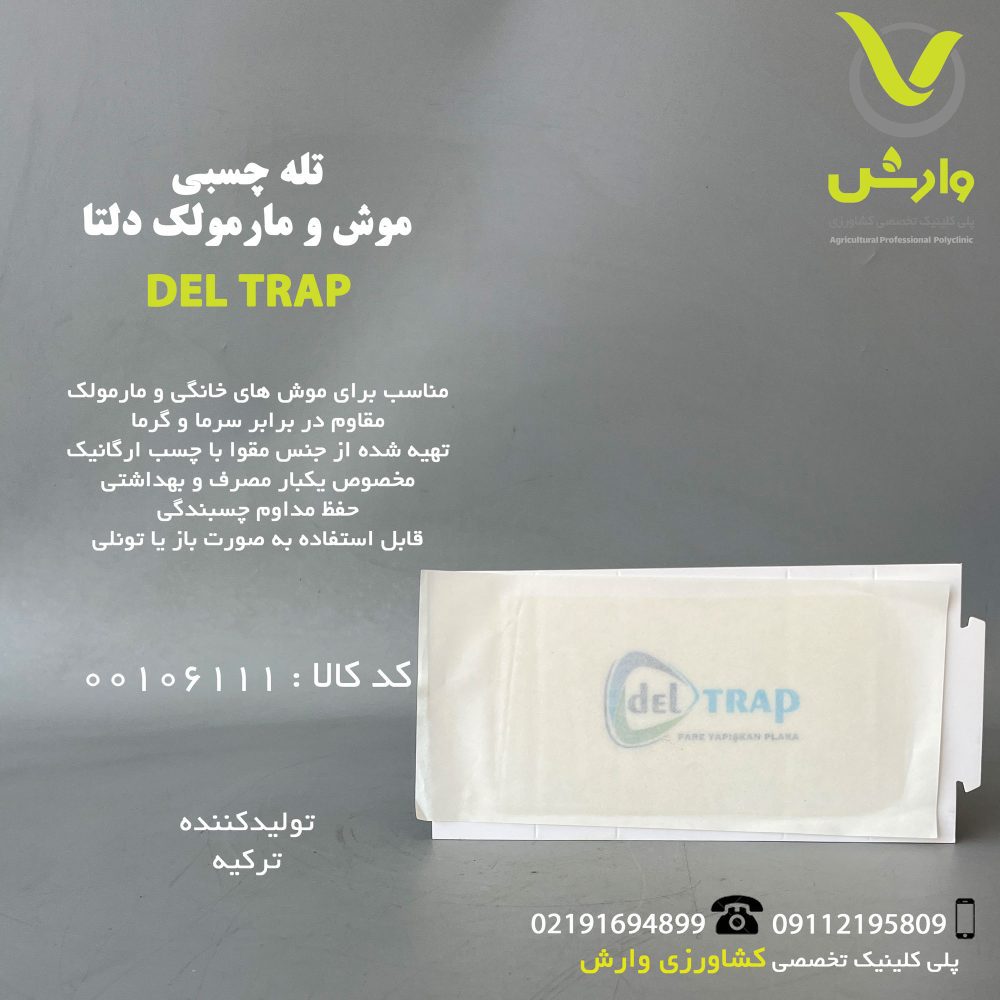 چسبی دلتا