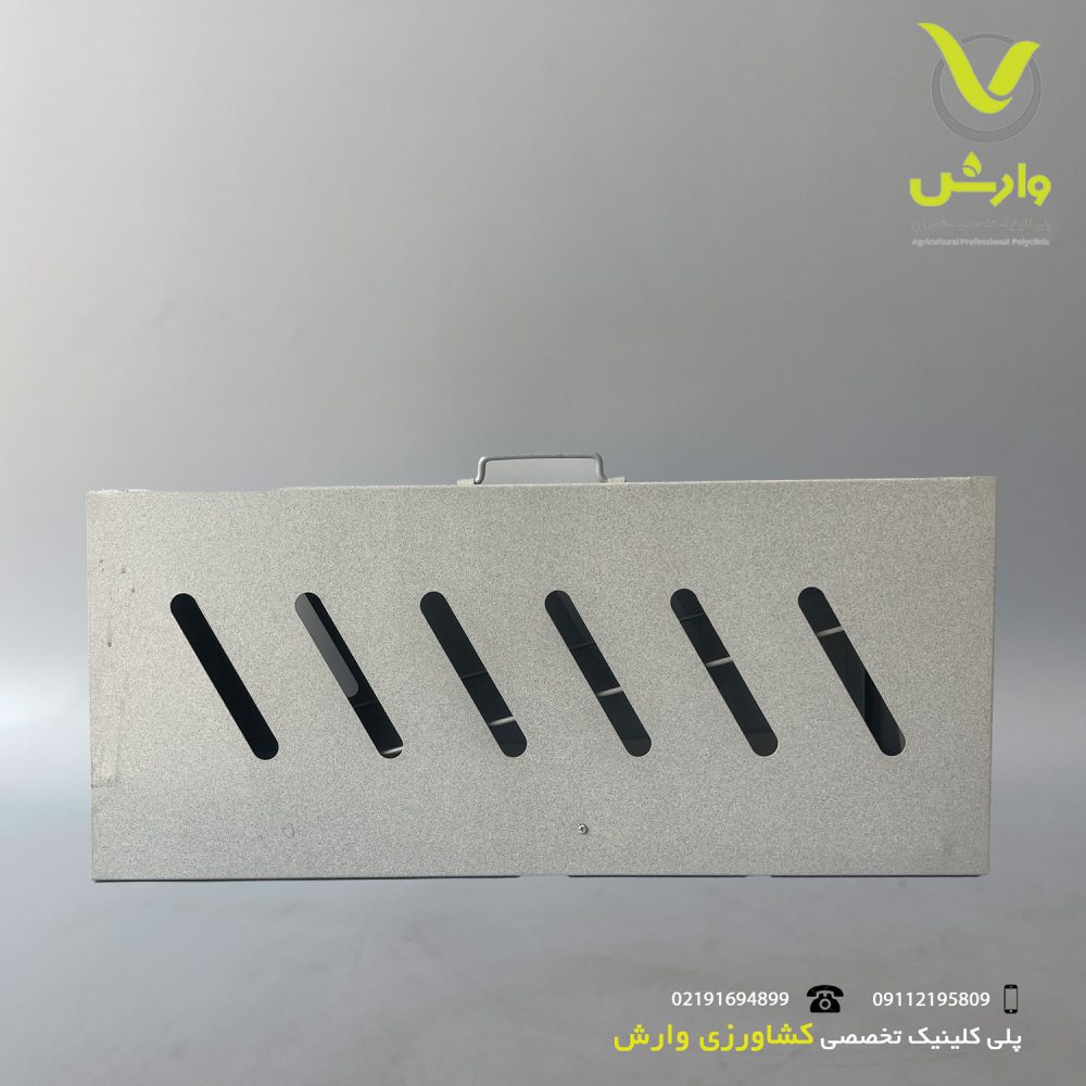 گربه