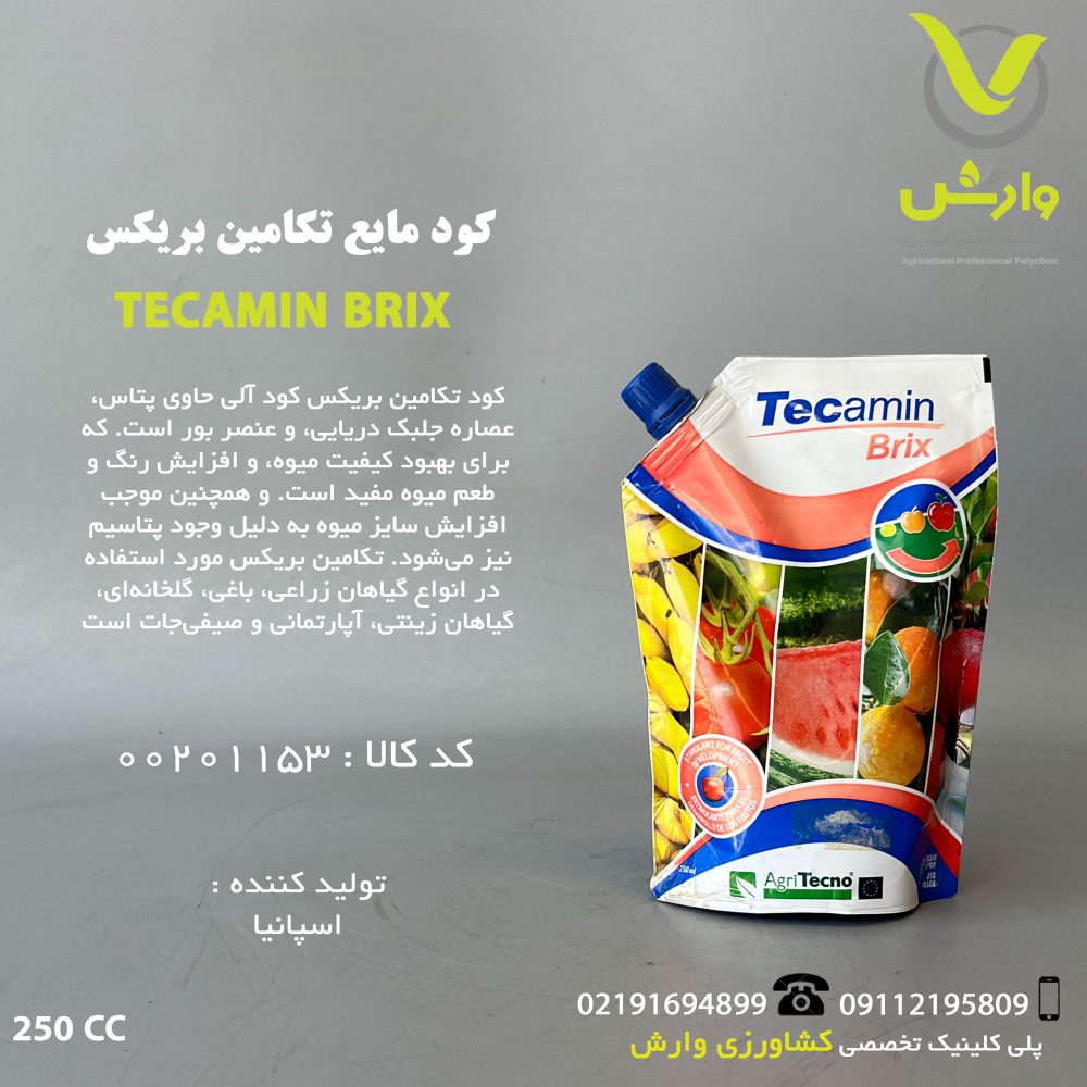 تکامین بریکس اگری تکنو 250 سی سی