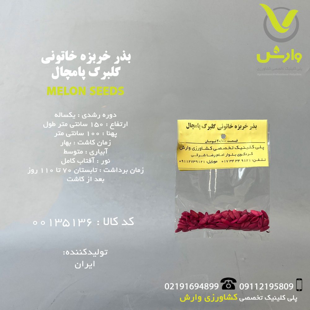 بذر خربزه خاتونی گلبرگ پامچال