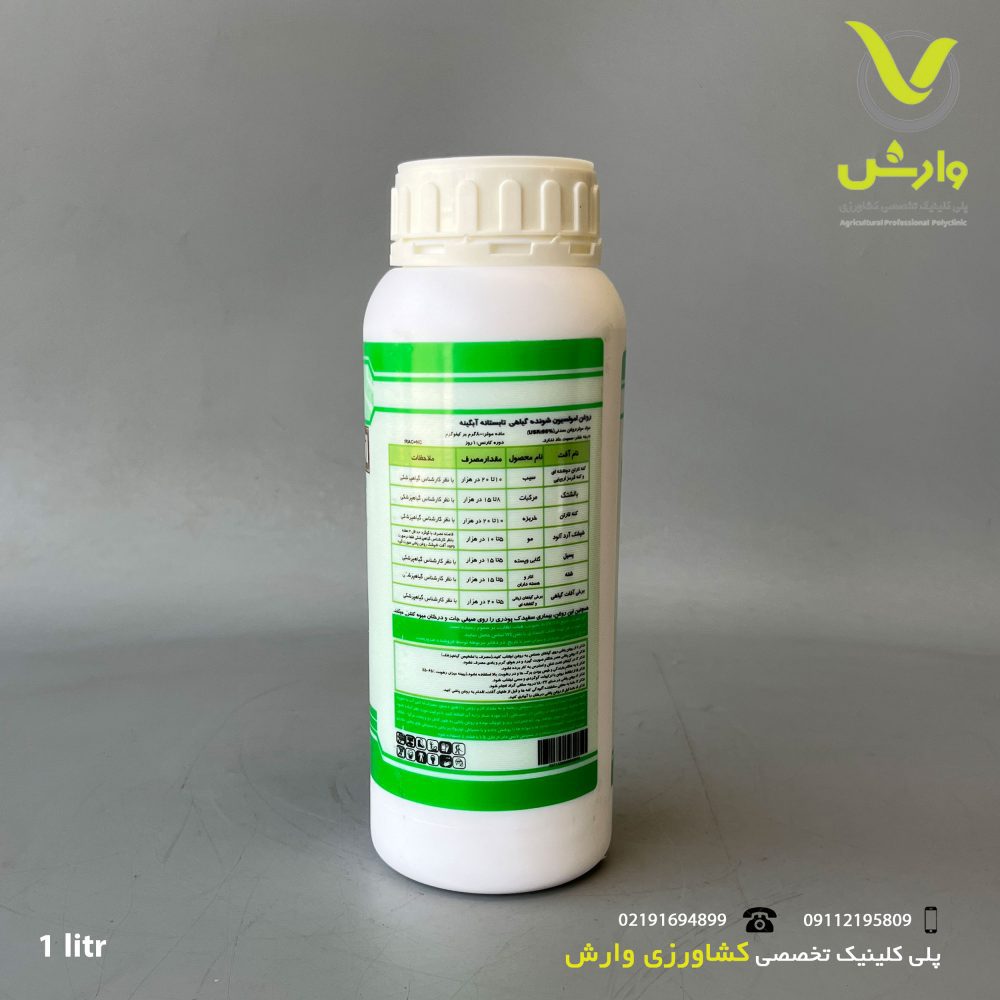 پشت