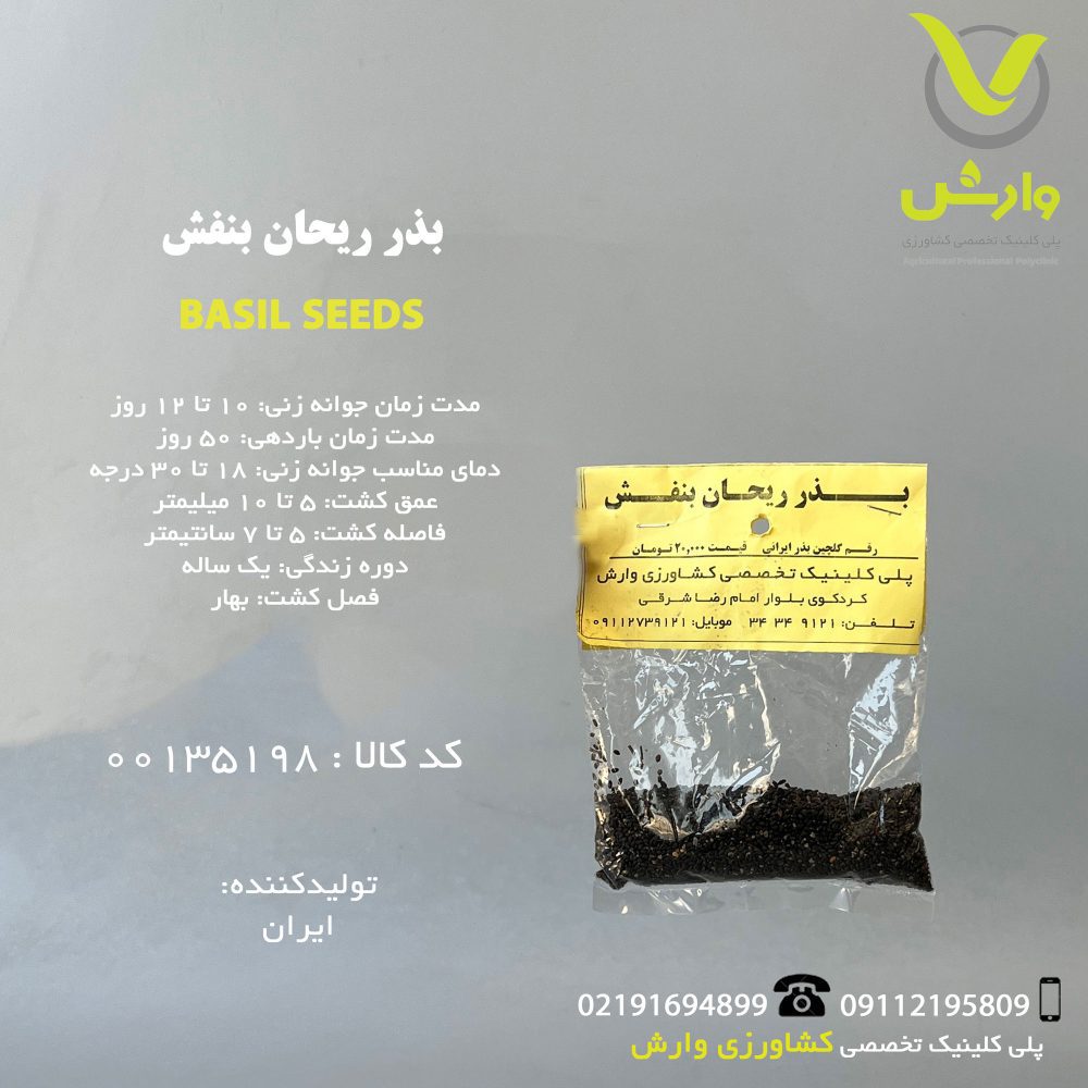 بذر ریحان بنفش رقم گلچین بذر ایرانی