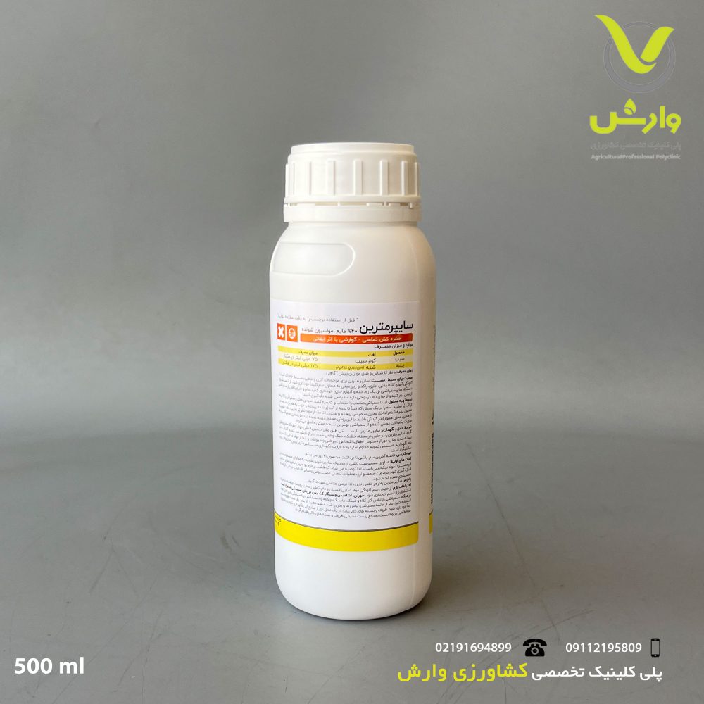 پشت