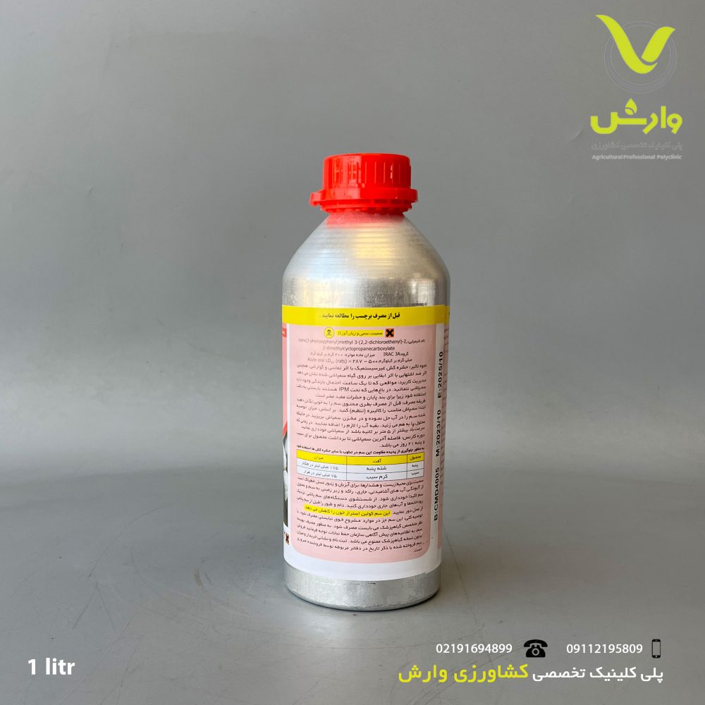 هندی پشت