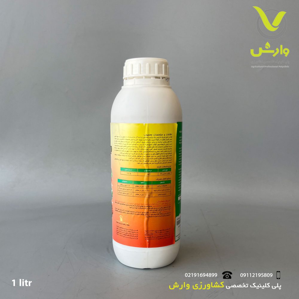 پشت