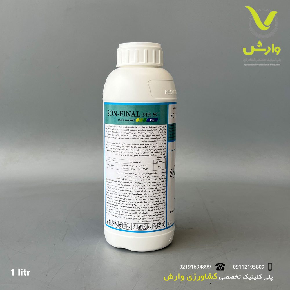 فینال پشت
