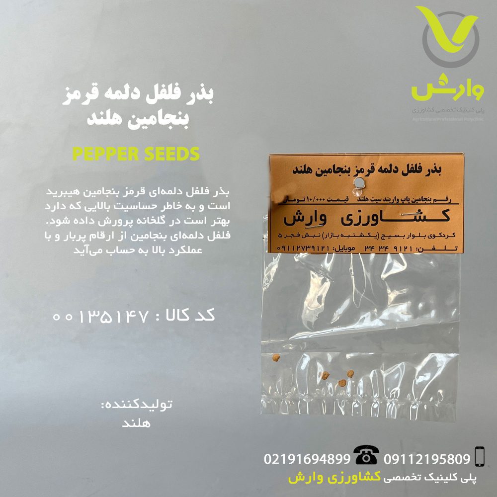 دلمه قرمز