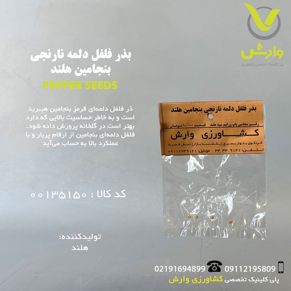 بذر فلفل دلمه نارنجی بنجامین هلند رقم بنجامین پاپ ورایند سید هلند