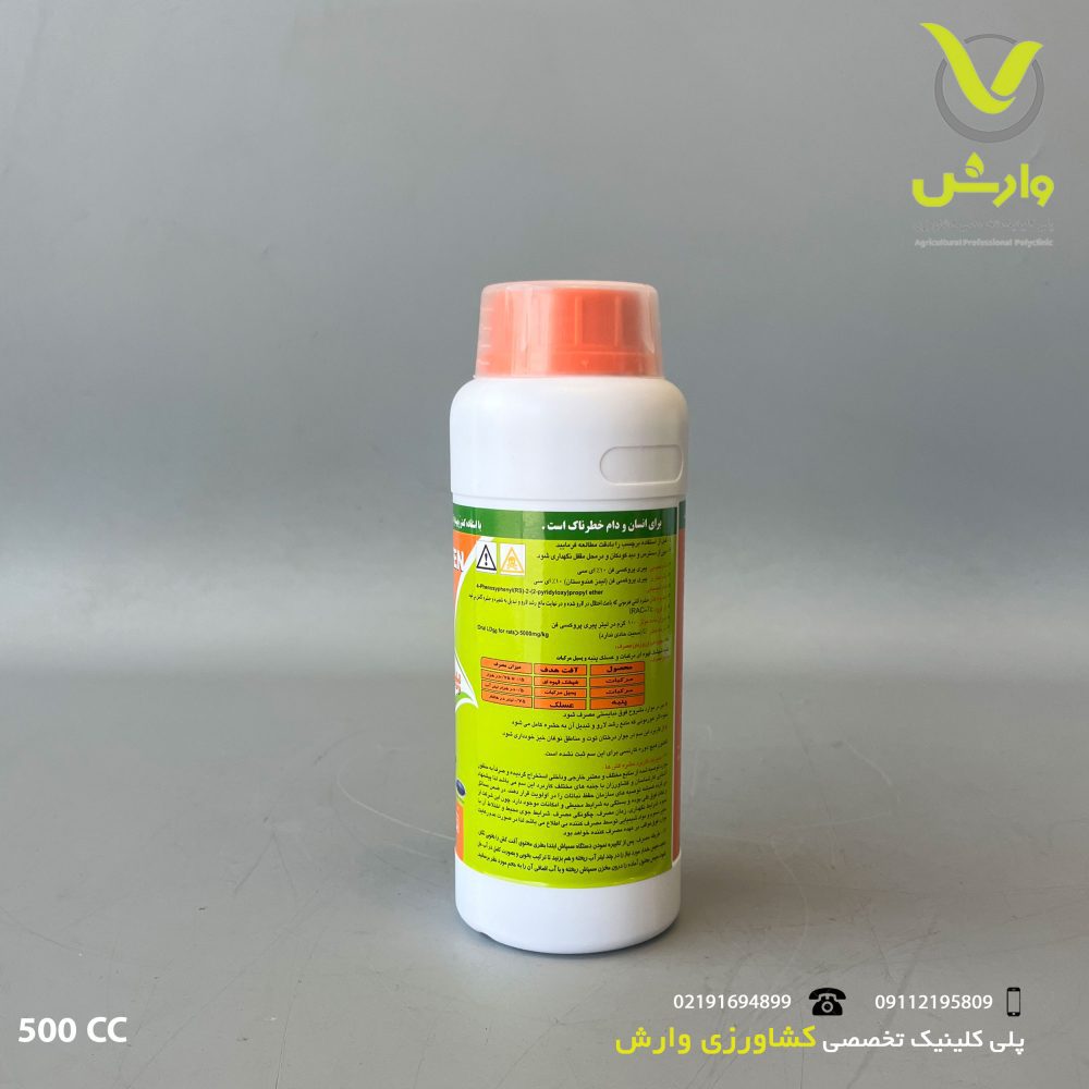 فنن