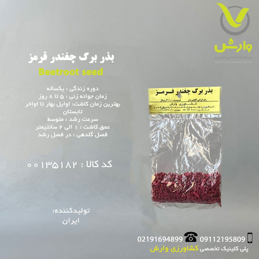 بذر برگ چغندر قرمز رقم ایرانی گلچین بذر