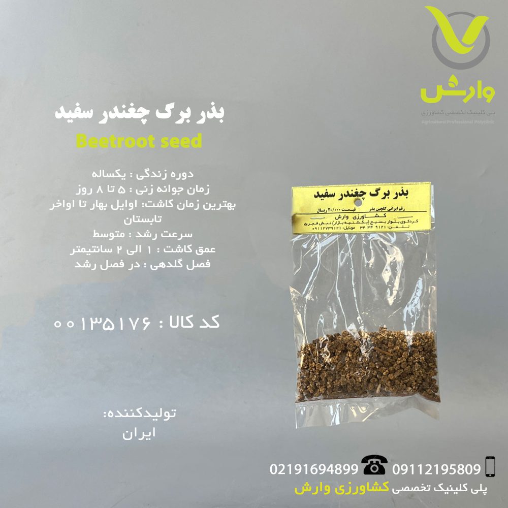 بذر برگ چغندر سفید رقم ایرانی گلچین بذر