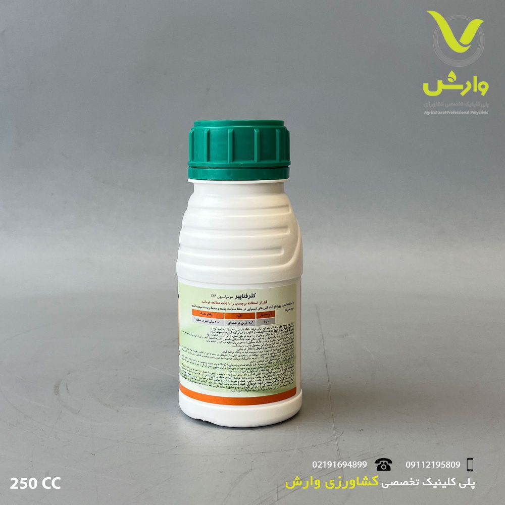 پشت