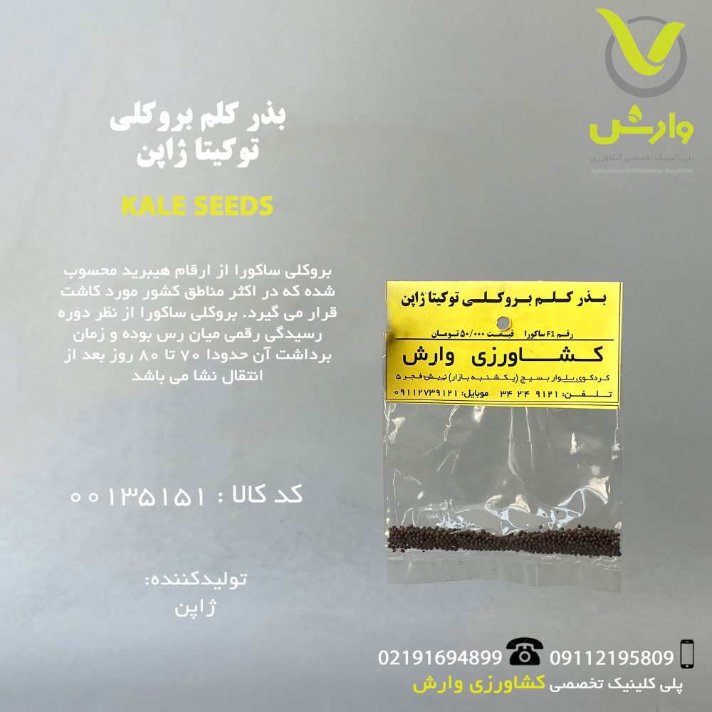 بذر کلم بروکلی توکیتا ژاپن رقم F1 ساکوراد