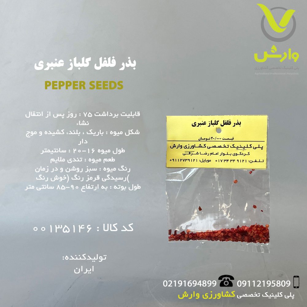 بذر فلفل گلباز عنبری
