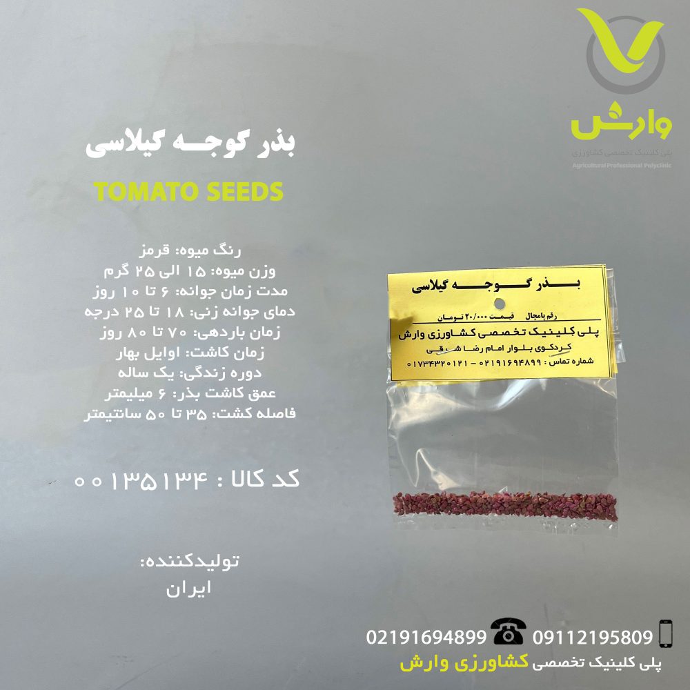 بذر گوجه گیلاسی رقم گلبرگ پامچال