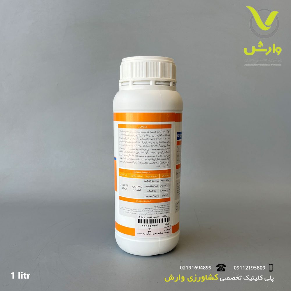 پشت
