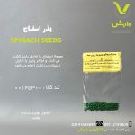 بذر اسفناج هیبرید روزن سید رقم هیبرید هلند