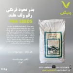 بذر نخود فرنگی ولف F2 رقم ولف هلند پاکت 10 کیلویی