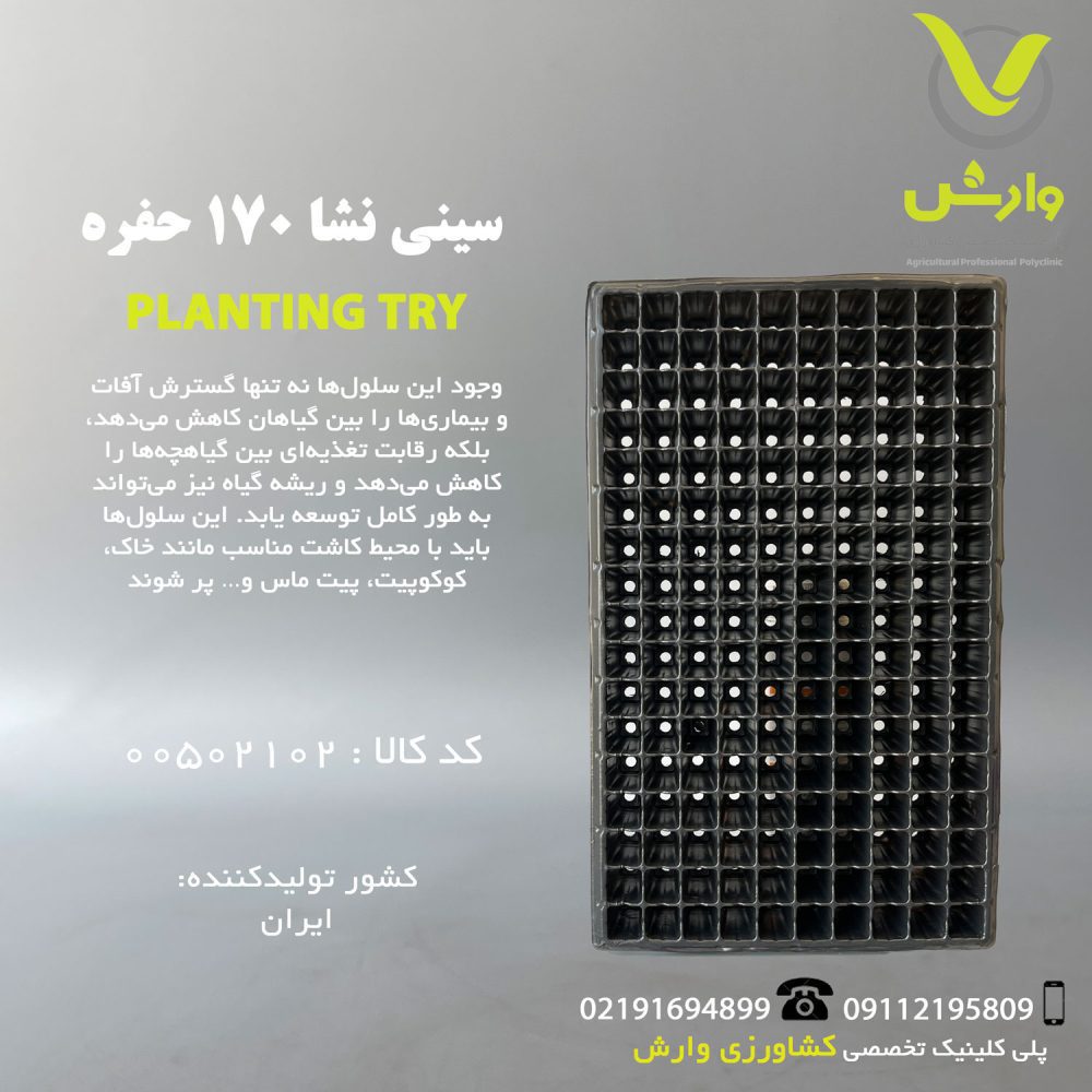 سینی نشاء 170 حفره