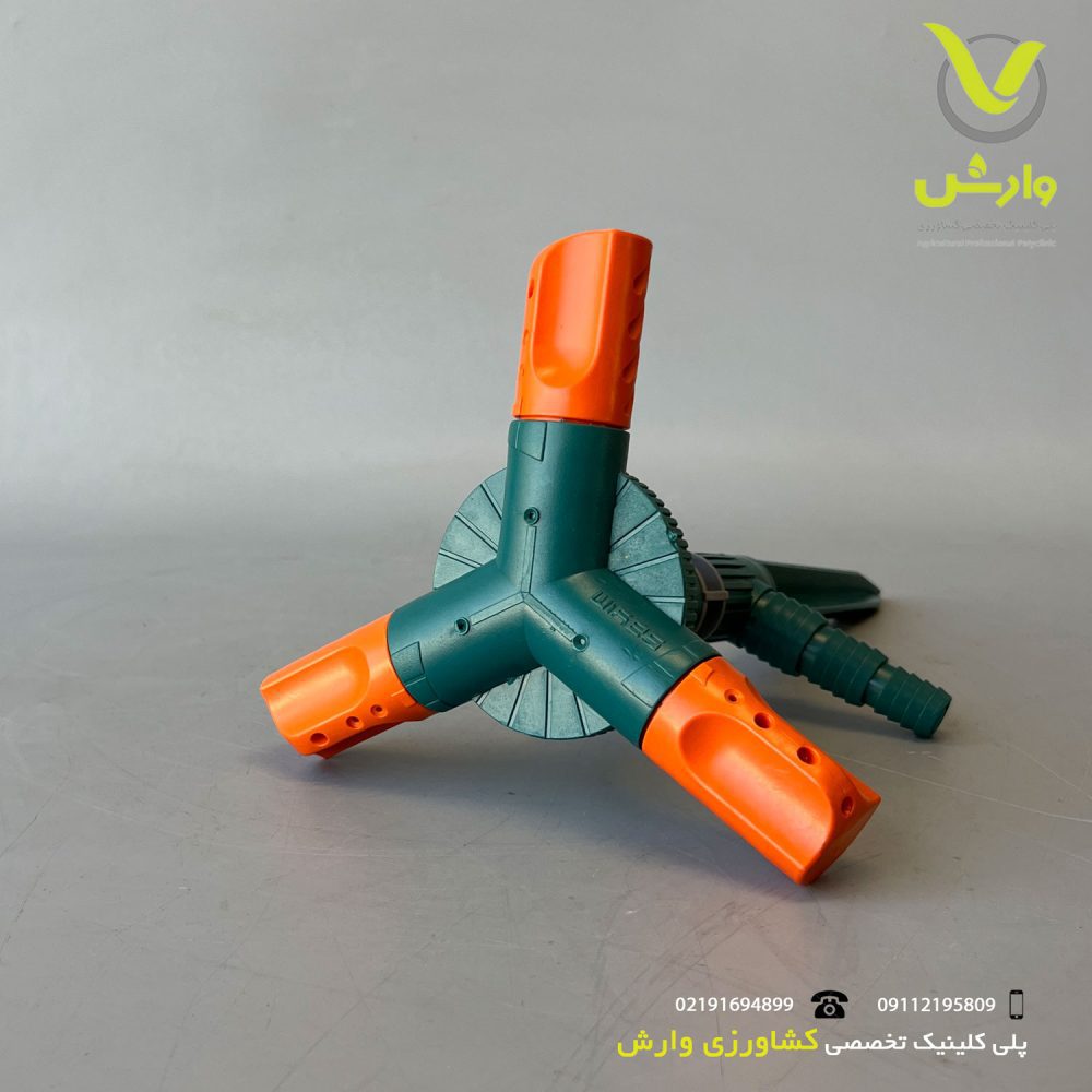 3 شاخ پشت