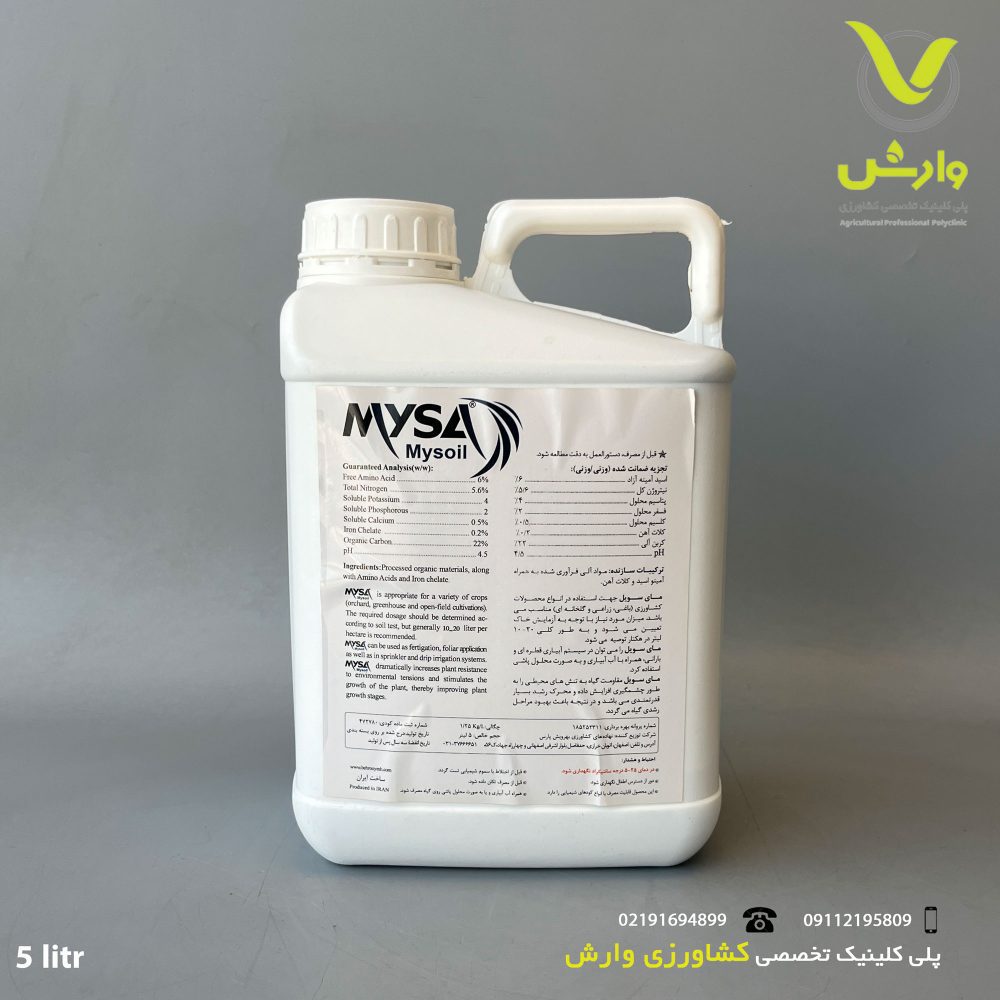 سویل5پشت