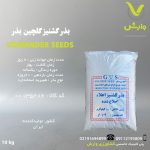 بذر گشنیز گلچین بذر GOLCHIN SEED پاکت نیم کیلویی و 10 کیلویی