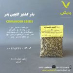 بذر گشنیز گلچین بذر رقم ایرانی