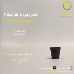 گلدان وکیوم گل تاپ, گلدان مشکی سایز 6, گلدان پلاستیکی 6, گلدان برای کاکتوس, گلدان سبک و مقاوم, گلدان برای آپارتمان, گلدان با زهکشی مناسب, گلدان برای گلخانه, گلدان نشا سایز 6, گلدان بادوام, گلدان برای گیاهان زینتی, گلدان ارزان قیمت, گلدان با کیفیت, گلدان مینی خانگی, گلدان صادراتی